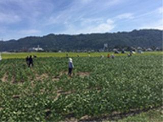 (有)浜農場(松本市)