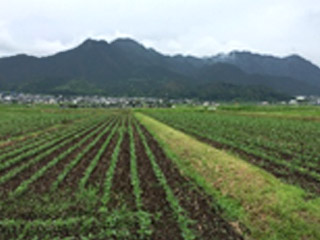 しおだSUNダイズ