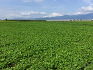 竹田の里