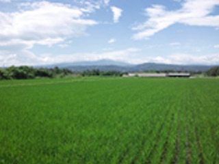 太陽と大地